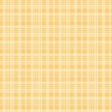Yellow Plaid Winnie the Pooh Echo Park Paper Co