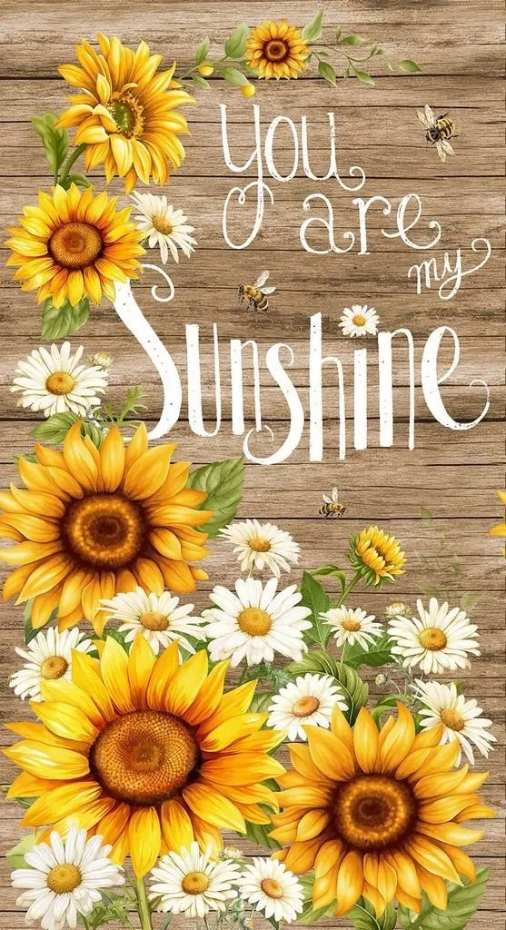 You Are My Sunshine PanelCD3880-BROWN