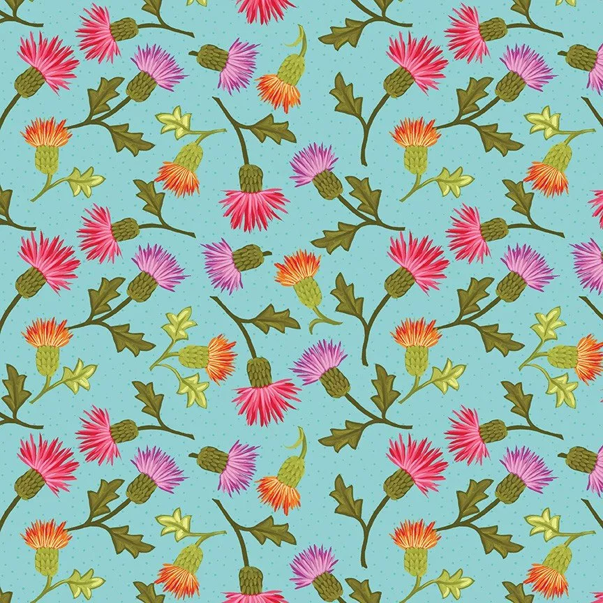ZinniasCD16692-AQUA